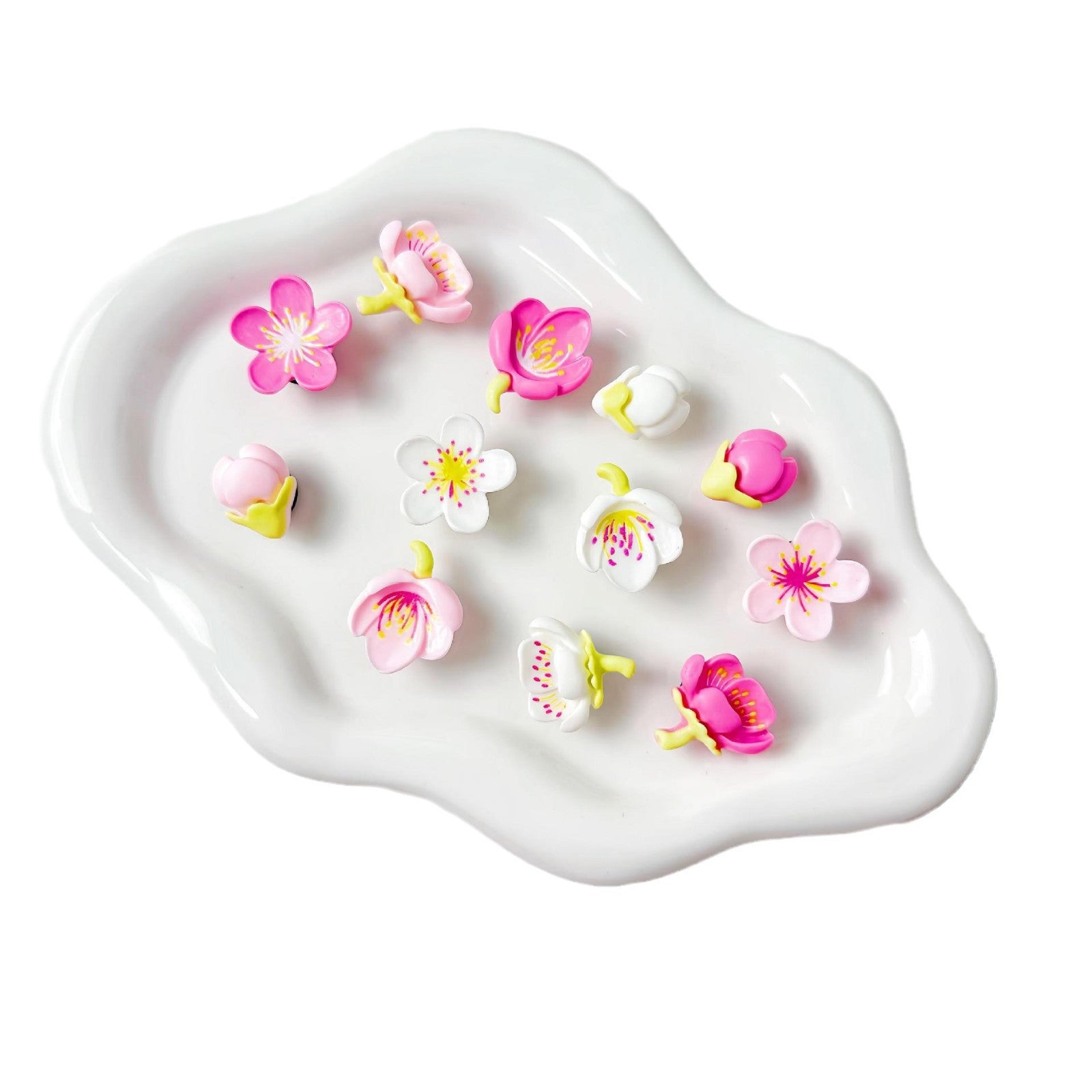 Decorative Resin Shoe Buckles