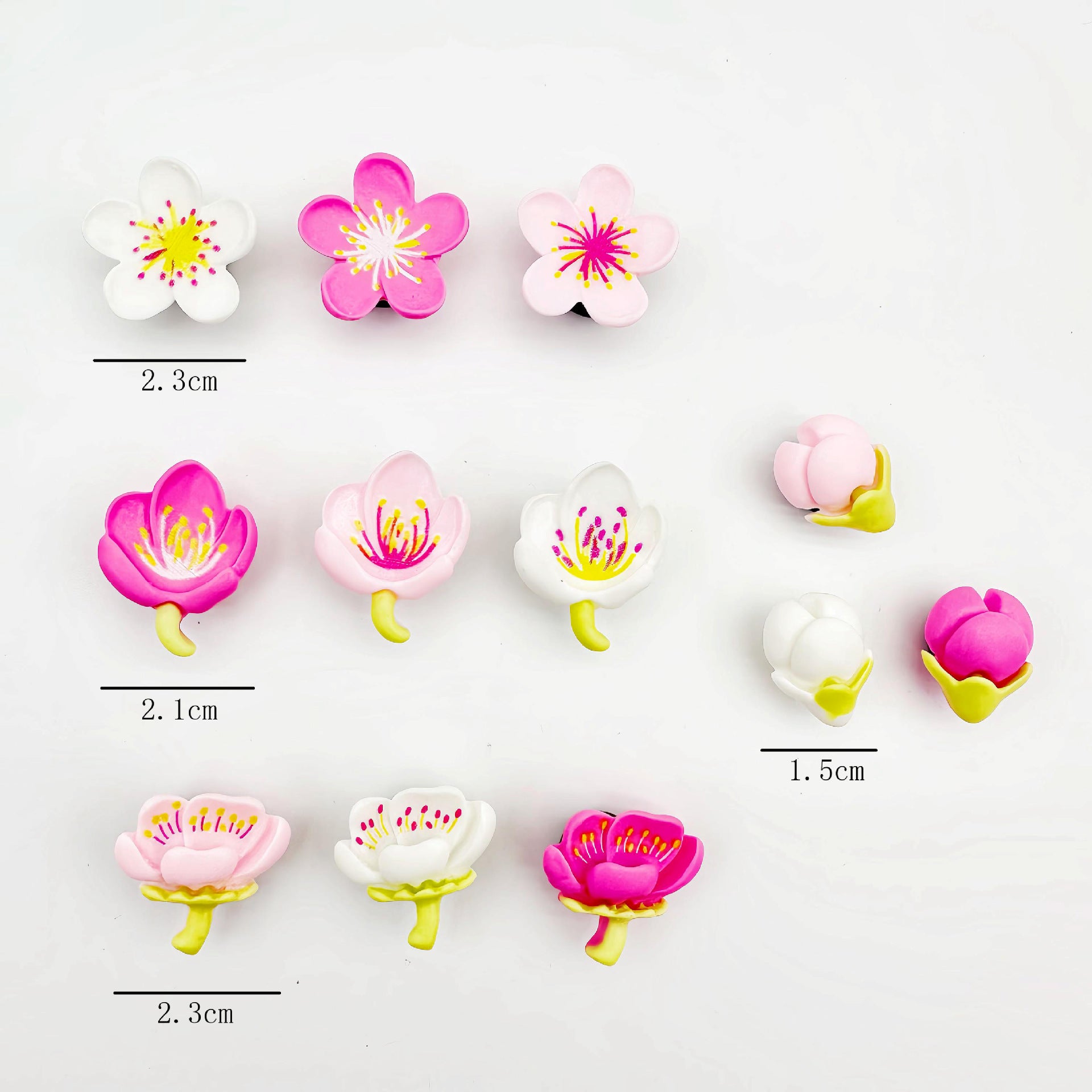 Decorative Resin Shoe Buckles