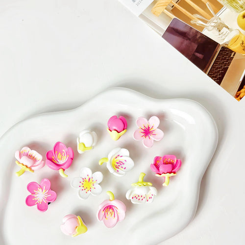 Decorative Resin Shoe Buckles